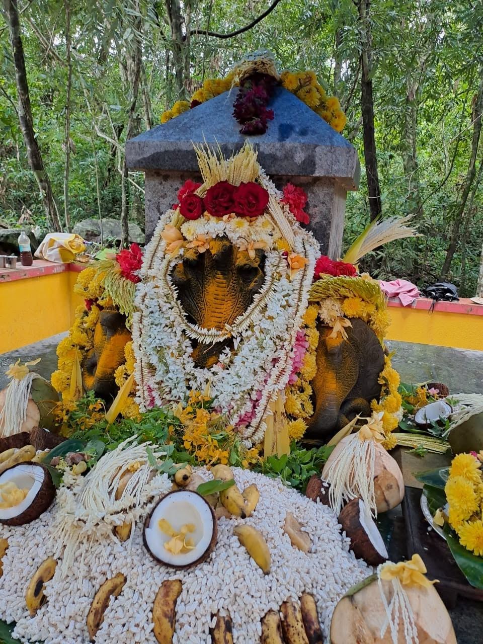 Naga Pooja
